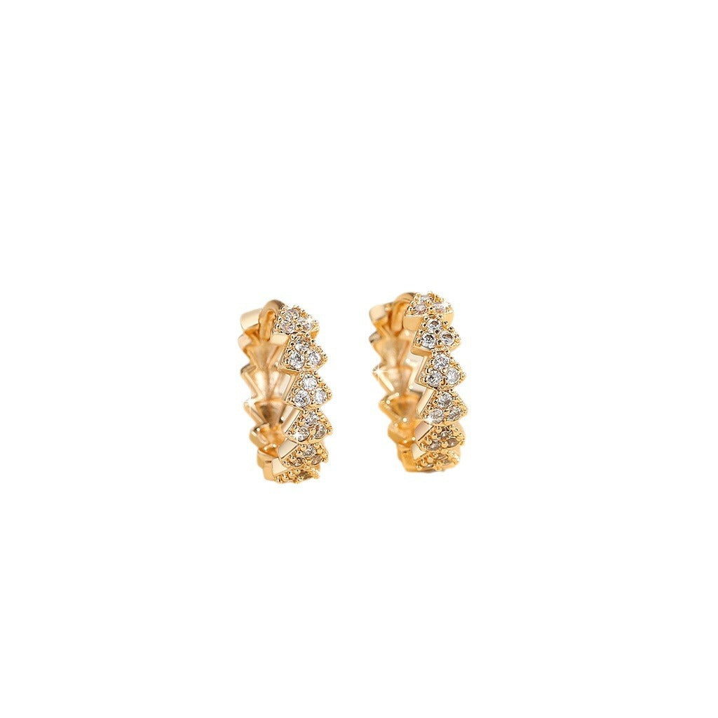 Fashion Gold & Zircon Earrings