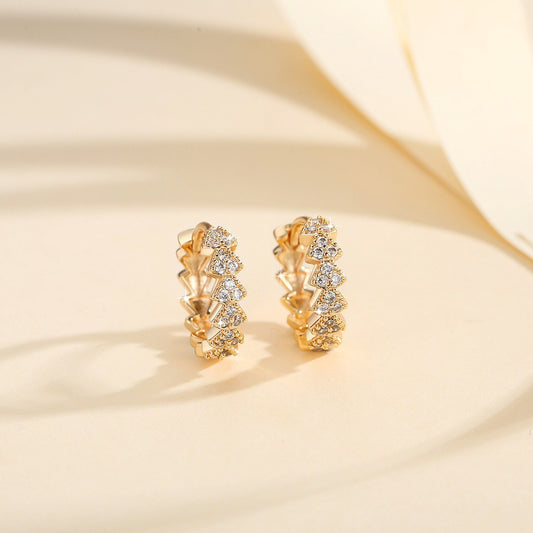 Fashion Gold & Zircon Earrings