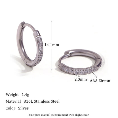 Zircon Earrings
